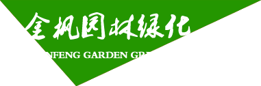 山東派金